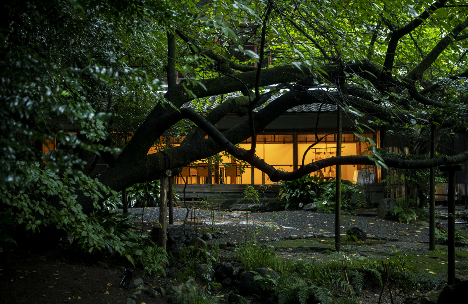 庭園
